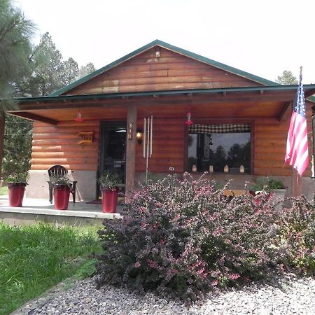 Apache Village Cabins 鲁伊多索 外观 照片