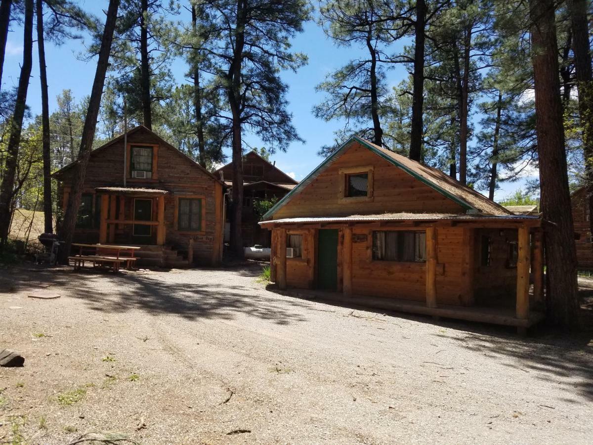 Apache Village Cabins 鲁伊多索 外观 照片